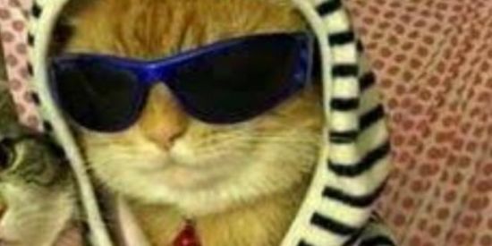 Imagem do grupo de WhatsApp 24卄尺 乙σλç̷ศσ