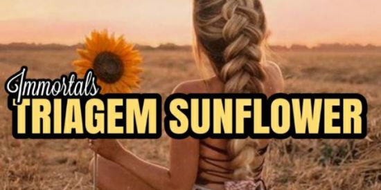 Imagem do grupo de WhatsApp TRIAGEM/RECRUTAMENTO ▪Ti'ร▪