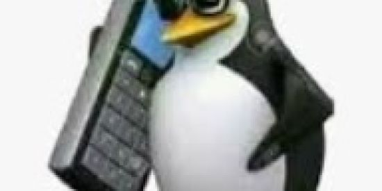 Imagem do grupo de WhatsApp shitpost do tom 😎