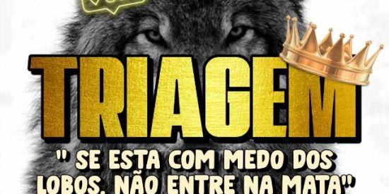 Imagem do grupo de WhatsApp TRIAGEM ᴋғ'ᴡ ⚔️🐺