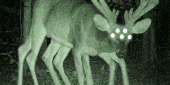 Imagem do grupo de WhatsApp COMUNISTAS