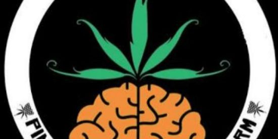 Imagem do grupo de WhatsApp Amadores de poesia acústi