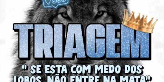Imagem do grupo de WhatsApp TRIAGEM  ᴋғ'ᴡ 2.0 🐺⚔️