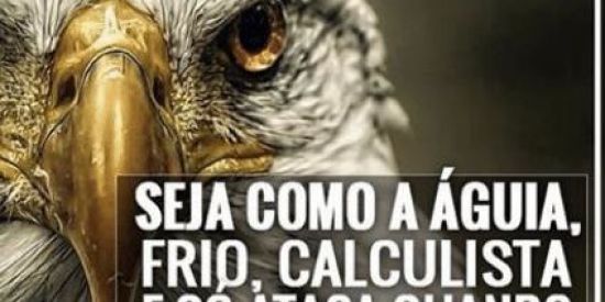 Imagem do grupo de WhatsApp Shitposter 🤡👊🏽😎