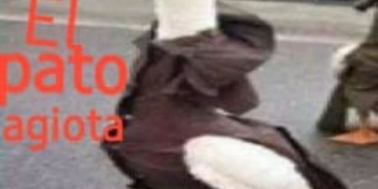 Imagem do grupo de WhatsApp EL PATO AGIOTA