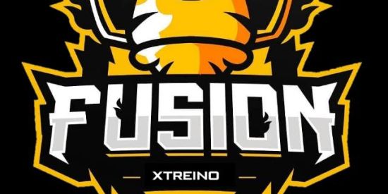 Imagem do grupo de WhatsApp XTREINO FUSION⚡🇧🇷