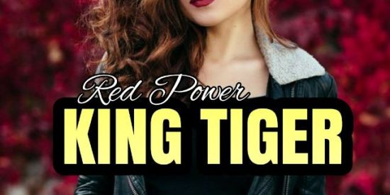 Imagem do grupo de WhatsApp ➊ 🌹ʀᴇᴅ ᴘᴏᴡᴇʀ🌹