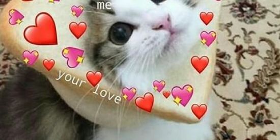 Imagem do grupo de WhatsApp Stickers🚀