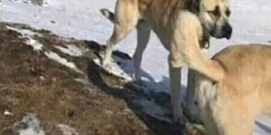 Imagem do grupo de WhatsApp Armário