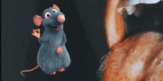 Imagem do grupo de WhatsApp Bonde Do Rato🤡 i