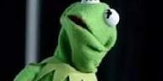 Imagem do grupo de WhatsApp Videos e memes