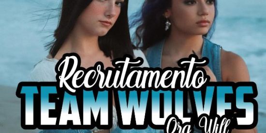 Imagem do grupo de WhatsApp 🐺яєcяυтαмєηтσ ωтs🐺