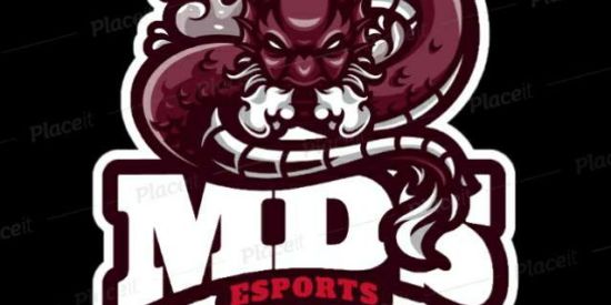 Imagem do grupo de WhatsApp RECRUTANDO MDS E-SPORT 🥋🇧🇷