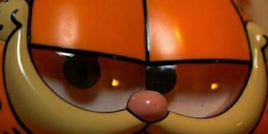 Imagem do grupo de WhatsApp Garfield Shitposts