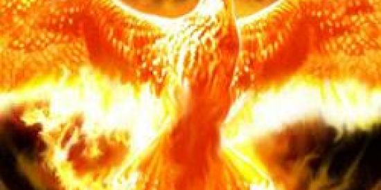 Imagem do grupo de WhatsApp Fenix chat 🔮🔥