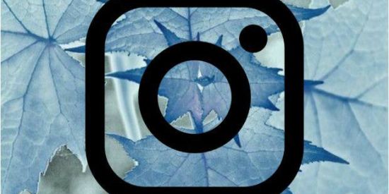 Imagem do grupo de WhatsApp Engajamento no insta