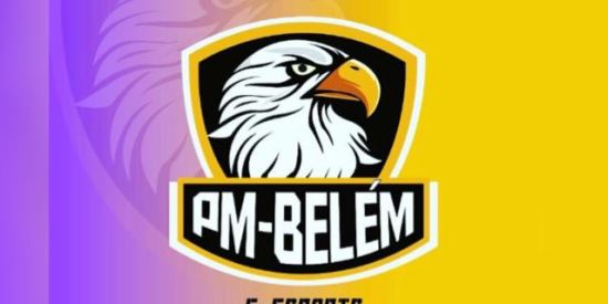 Imagem do grupo de WhatsApp 🇧🇷DIARIO PM BELÉM🙌🏼