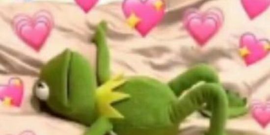 Imagem do grupo de WhatsApp ภ๏vคร ค๓เzค๔єร