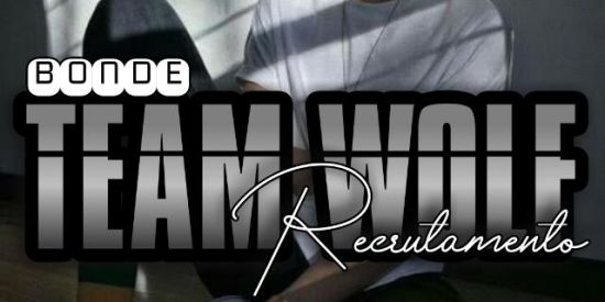 Imagem do grupo de WhatsApp 「🌹ʀєᴄʀυταмєทτσ」