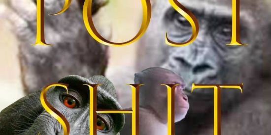 Imagem do grupo de WhatsApp P O S T  S H I T