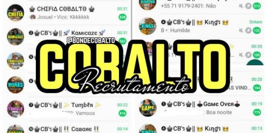 Imagem do grupo de WhatsApp RECRUTAMENTO COBALTO🦊✨