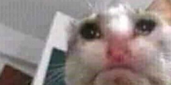 Imagem do grupo de WhatsApp otakenhos