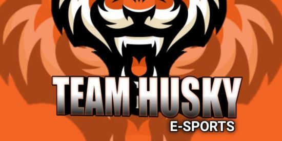 Imagem do grupo de WhatsApp TEAM°HUSKY GAMING🎮❤️💪🏼