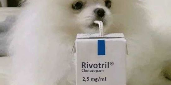 Imagem do grupo de WhatsApp Rivotril