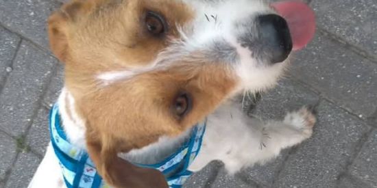 Imagem do grupo de WhatsApp Recrutamento {Anna}