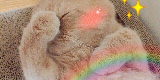 Imagem do grupo de WhatsApp ッ☛ c h o c o a t i  ☚ッ