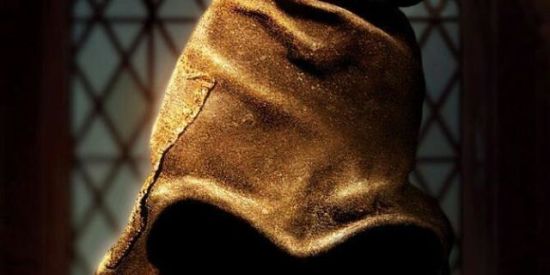 Imagem do grupo de WhatsApp chapéu seletor