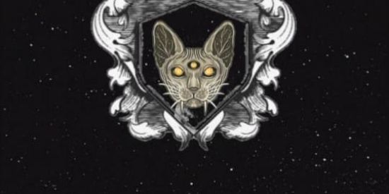 Imagem do grupo de WhatsApp SemRegrasAqui