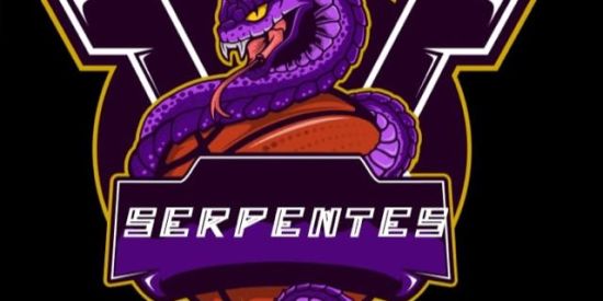 Imagem do grupo de WhatsApp SERPENTES999