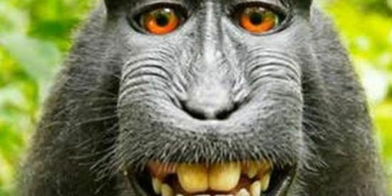 Imagem do grupo de WhatsApp Magagos Séc XXI🐒💭💩📈