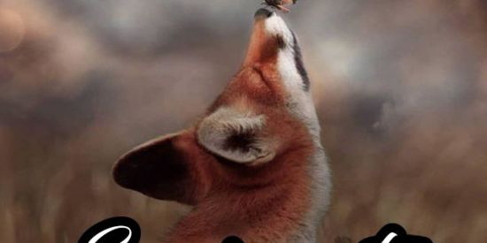 Imagem do grupo de WhatsApp Engajamento CBs❤️