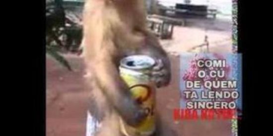 Imagem do grupo de WhatsApp Shiposted😎🤡😳🔪😭🤡🤡