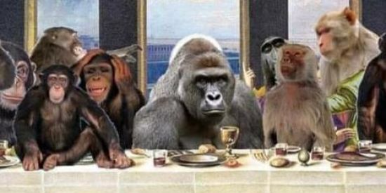 Imagem do grupo de WhatsApp 卐мσηkєy cσмυηısтα卐