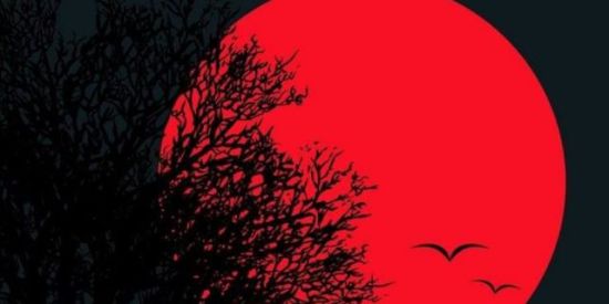 Imagem do grupo de WhatsApp ❲🌟❳๖ۣۜζ͜͡O BONDE 2 ❲🎃ハロウィーン 🎃❳