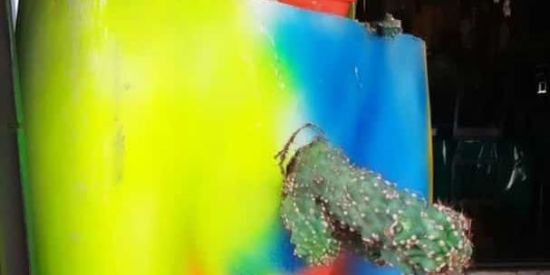 Imagem do grupo de WhatsApp ડꫝitρꪮડtꫀ 🤡