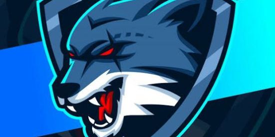 Imagem do grupo de WhatsApp ꧁✞࿇🔥WΩLF$🔥࿇✞꧂