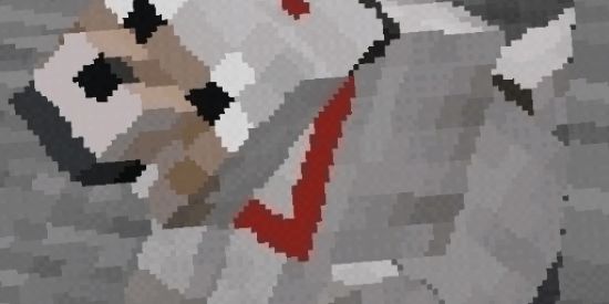 Imagem do grupo de WhatsApp Trabequin