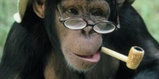 Imagem do grupo de WhatsApp ꧁ঔৣ☠︎❥$Ħɨţρ๏$ţ🤡-❥☠︎ঔৣ꧂TM