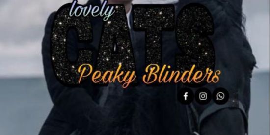 Imagem do grupo de WhatsApp Ganhe seguidores no Instagram