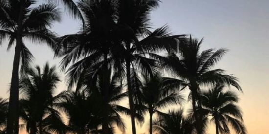 Imagem do grupo de WhatsApp Grupo de DUBLAGENS!❤️