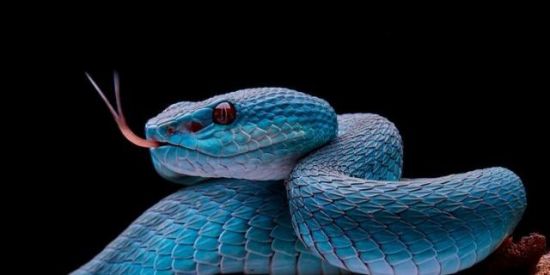 Imagem do grupo de WhatsApp S⃝ onag⃝..🥵🥵空 facc ofcc