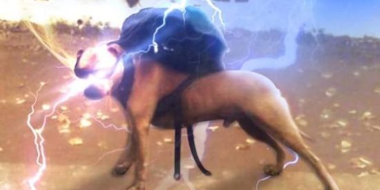 Imagem do grupo de WhatsApp A VIDA É FEITA DE SHITPOST 🤡🤡😈