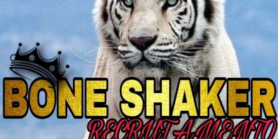 Imagem do grupo de WhatsApp 💫 Recrutamento shaker💫