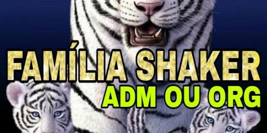 Imagem do grupo de WhatsApp 💫Cargos (ADM)'(ORGS) 💫