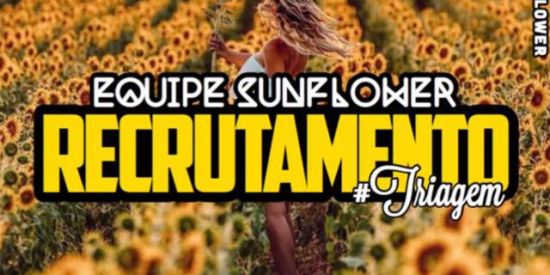 Imagem do grupo de WhatsApp 🌻Triagem Membros Ti’s🌻