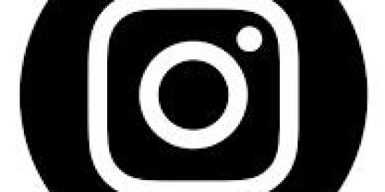 Imagem do grupo de WhatsApp PROJETO 15:00🔥📊